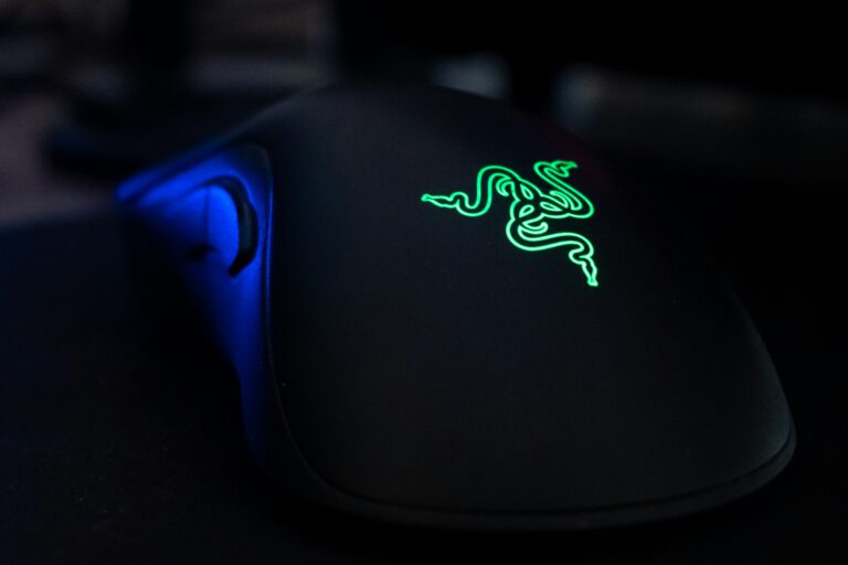 mouse
